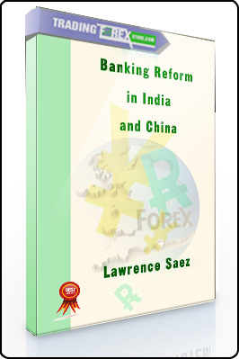 Lawrence Saez – Banking Reform in India & China