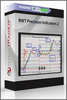 BWT Precision Indicators 2 (05.2009)