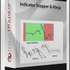 Indicator Stopper & Abeja