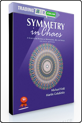 Michael Field, Martin Golubitsky – Symmetry in Chaos. A Search for Pattern in Mathematics. Art and Nature