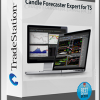 Candle Forecaster Expert for TS