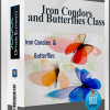 Option Elements – Iron Condors and Butterflies Class
