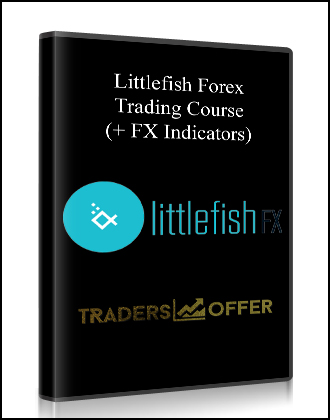 Best forex trading course reddit