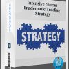 Intensive course – Tradematic Trading Strategy