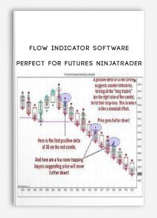 Flow Indicator Software Perfect for Futures Ninjatrader