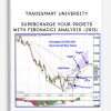 TradeSmart University – Supercharge Your Profits With Fibonacci Analysis (2013) [1 MP4]