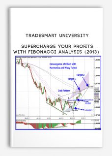 TradeSmart University – Supercharge Your Profits With Fibonacci Analysis (2013) [1 MP4]