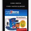 Forex-Mentor-Forex-Master-BluePrint-6-camtasia-SWF-PDF