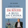 Jim-Rogers-–-A-Bull-in-China