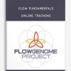 Flow Fundamentals Online Training