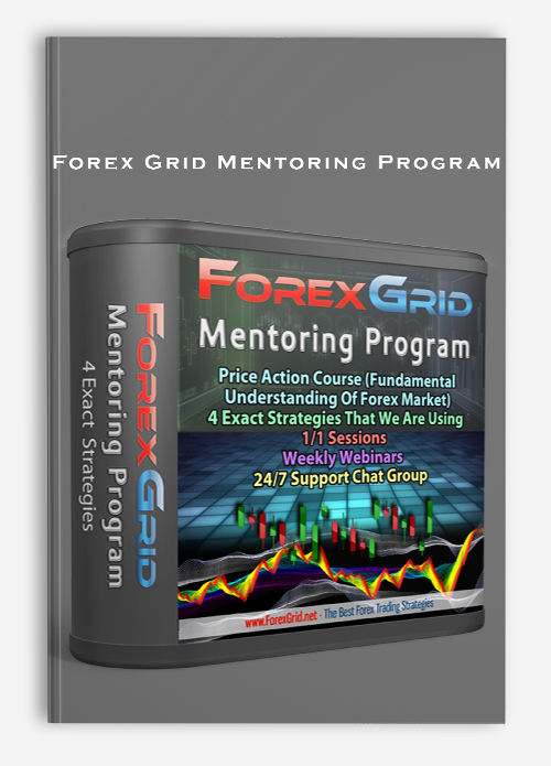 Forex mentorship program