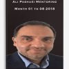 Ali Pashaei Mentoring – Month 01 to 08 2018