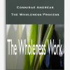 Connirae Andreas – The Wholeness Process