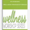 Slideberry – Wellness Workshop Series