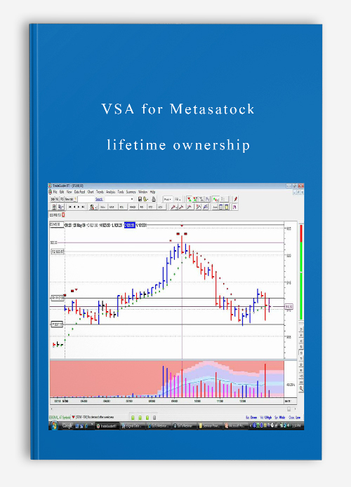 VSA for Metasatock – lifetime ownership