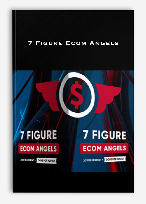 7 Figure Ecom Angels
