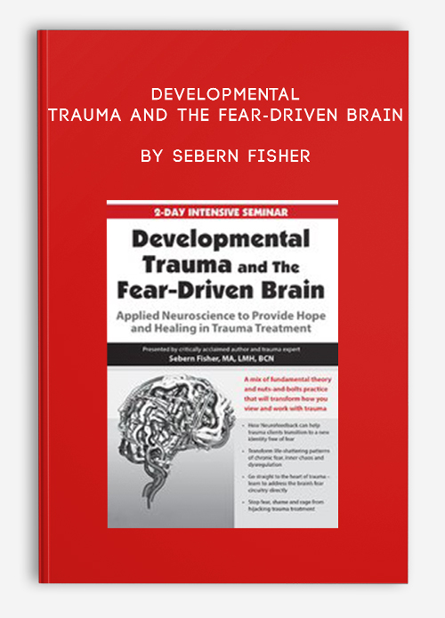 Developmental Trauma and The Fear-Driven Brain by Sebern Fisher