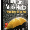 The Inefficient Stock Market by Robert A.Haugen