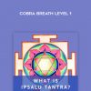 Ipsalu-Tantra-Cobra-Breath-Level-1