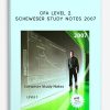Scheweser Study Notes 2007 by CFA Level 2