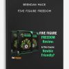 Brendan-Mace-Five-Figure-Freedom-400×556