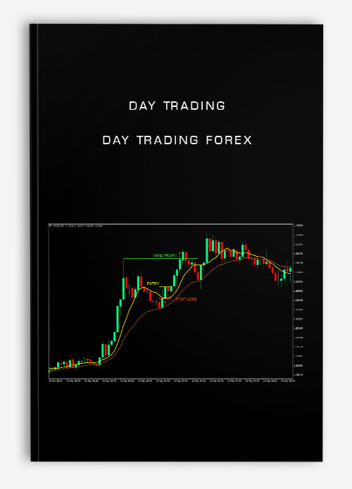 Day Trading: Day Trading Forex