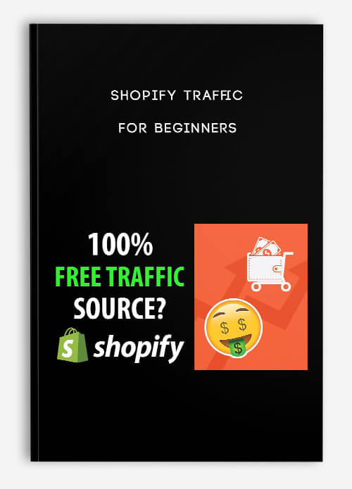 Shopify Traffic for Beginners