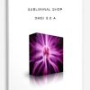 Subliminal-Shop-DMSI-3.2-A-400×556