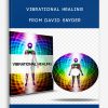 Vibrational Healing from David Snyder