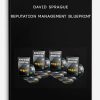 David-Sprague-Reputation-Management-Blueprint-400×556