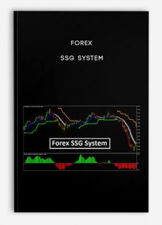 Forex SSG System