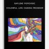 Gaylene-Popovski-Colorful-Life-Chakra-Program-400×556
