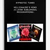 Hypnotic-Tunes-Millionaire’s-Mind-5-Layer-Subliminal-Programming-400×556