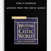 John-O’Donohue-WISDOM-FROM-THE-CELTIC-WORLD-400×556
