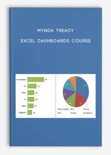 Mynda Treacy – Excel Dashboards Course