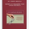 Dr.-Joseph-Mercola-–-Secrets-of-Regaining-Your-Vision-Naturally-400×556