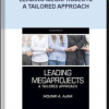 Leading Megaprojects – A Tailored Approach