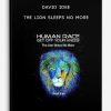 David-Idee-–-The-Lion-Sleeps-No-More-400×556