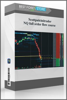 Scottpulcinitrader – NQ full order flow course