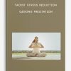 Taoist Stress Reduction – QiGong Meditation