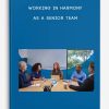 Working-in-Harmony-as-a-Senior-Team-400×556