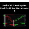 Snake V5.0 No Repaint Real Profit For Metatrader 5