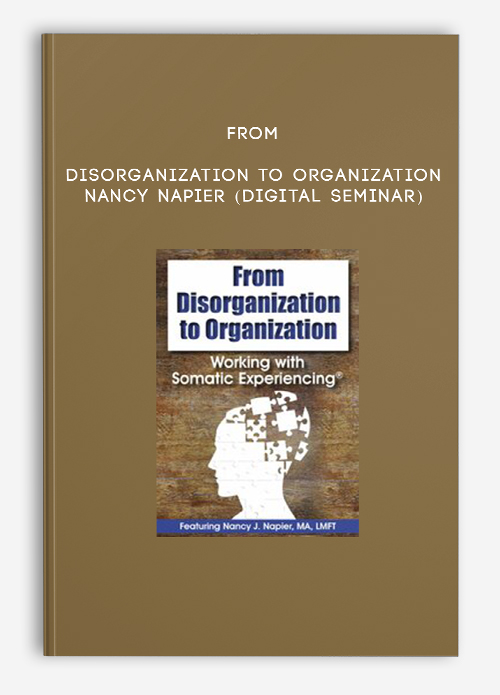 From Disorganization to Organization – NANCY NAPIER (Digital Seminar)