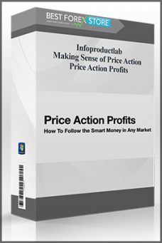 Infoproductlab – Making Sense of Price Action: Price Action Profits