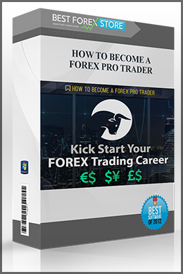 Secretentourage – HOW TO BECOME A FOREX PRO TRADER