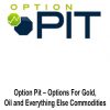 Option Pit – Options For Gold & Oil and Everything Else Commodities