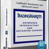 TRADINGMARKET – AmiBroker Introductory and Advanced Courses