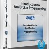 Tradingmarkets – Introduction to AmiBroker Programming