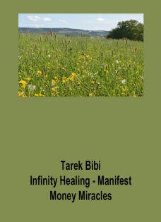 Tarek Bibi – Infinity Healing – Manifest Money Miracles