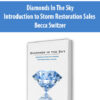 Diamonds In The Sky – Introduction to Storm Restoration Sales by Becca Switzer